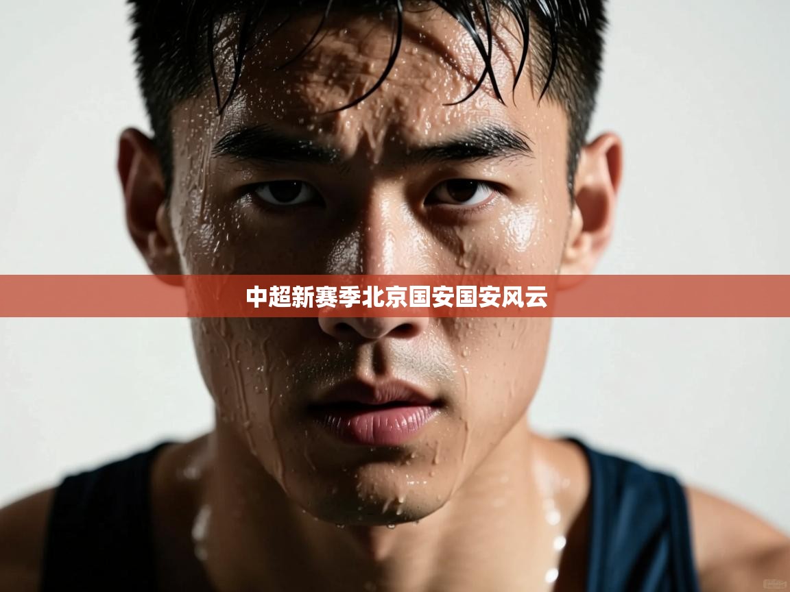 中超新赛季北京国安国安风云  第1张
