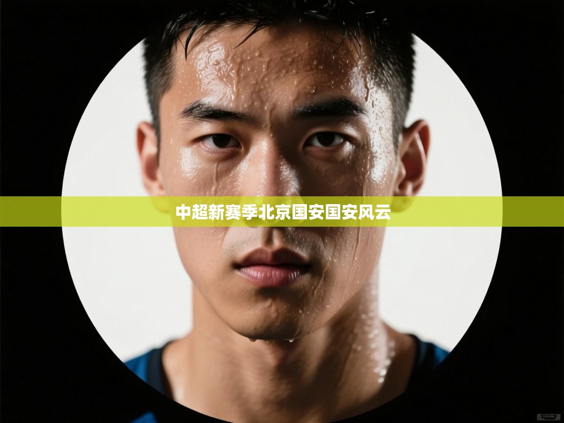 中超新赛季北京国安国安风云  第2张